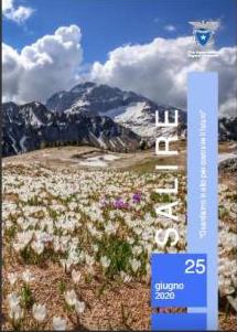 Salire Giugno 2020