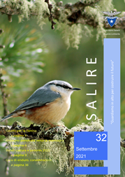 Salire n.32 di Settembre 2021