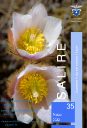 Salire n.35 di Marzo 2022